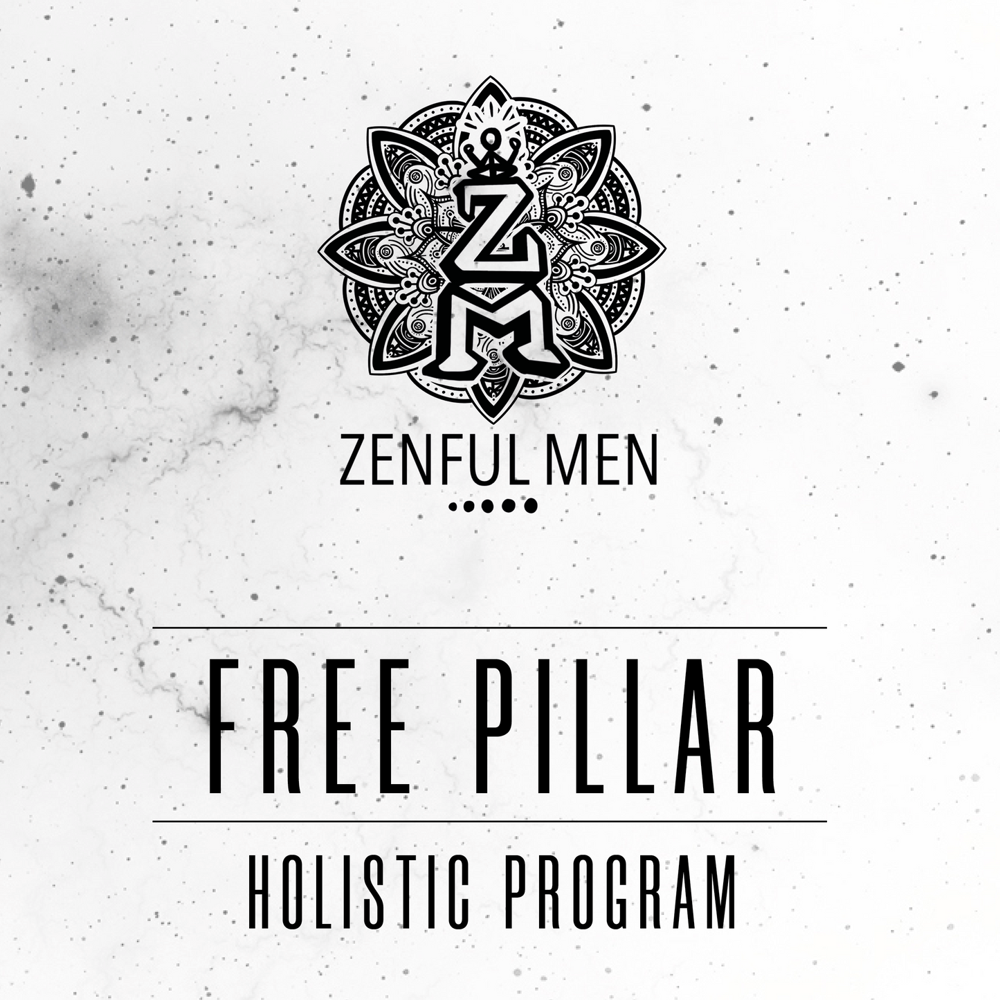 Pillar 1 - FREE Holistic Program
