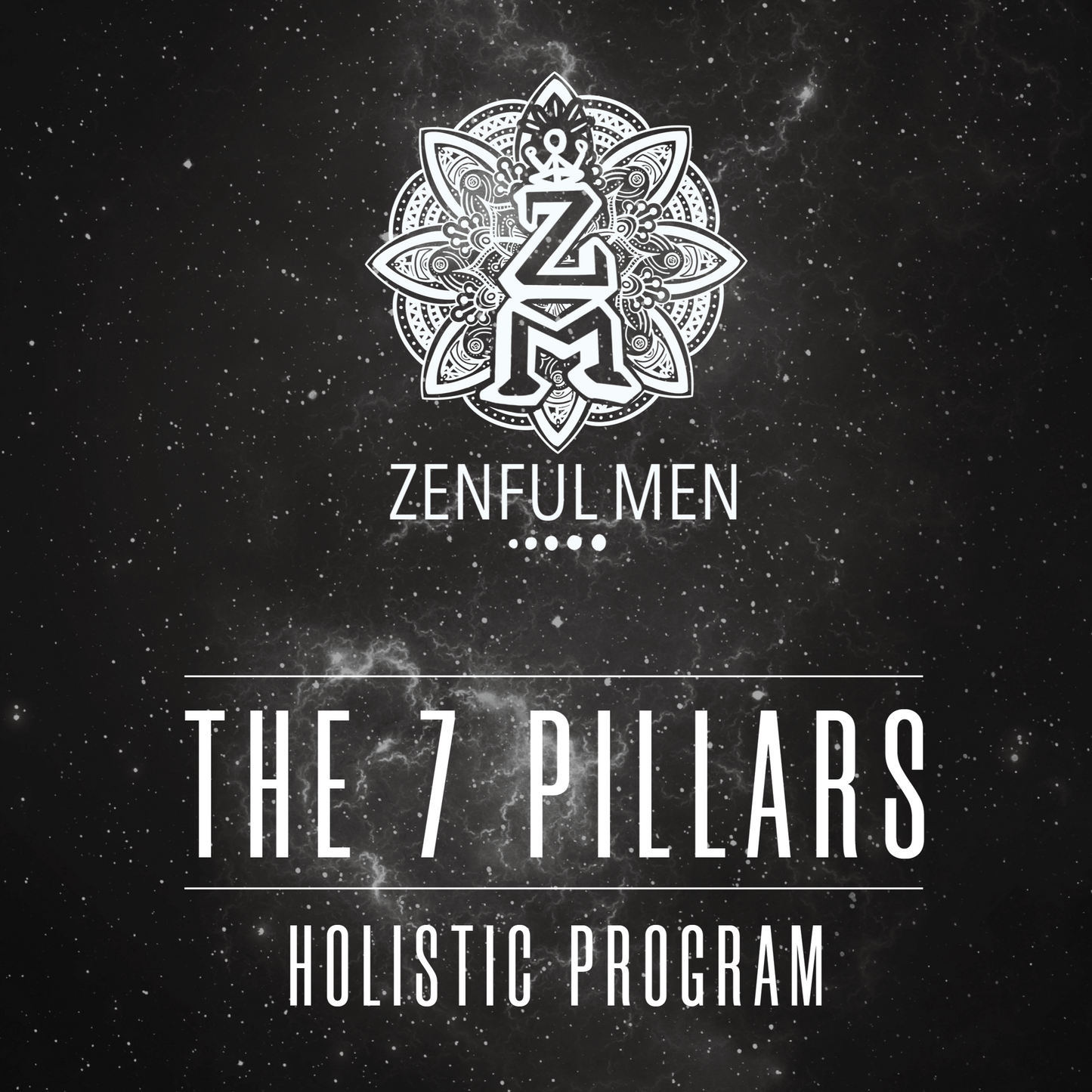 The 7 Pillars - Holistic Program